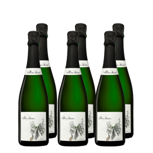 Marie Demets Tradition Brut - Blanc de Noirs - 6 flessen www.jeromeschampagne.nl