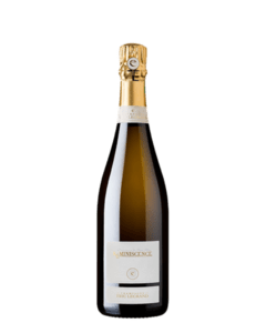 Champagne Reminiscence - Eric Legrand - jeromeschampagne.nl