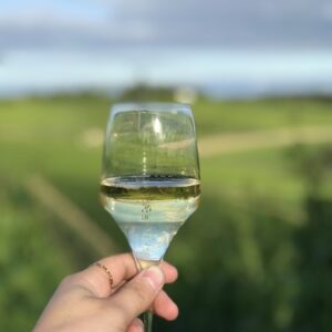 Glas Champagne in de wijngaard