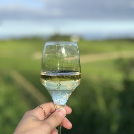 Glas Champagne in de wijngaard