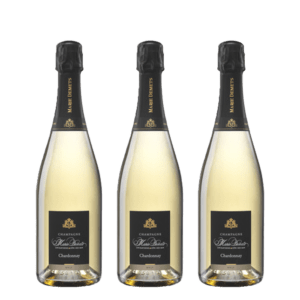 Marie Demets Blanc de Blancs Extra Brut - www.jeromeschampagne.nl