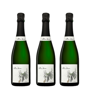 Marie Demets Tradition Brut - Blanc de Noirs - www.jeromeschampagne.nl